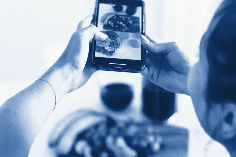 Hands holding up a phone to photograph a plate of food on a table, printed in Prussian blue.